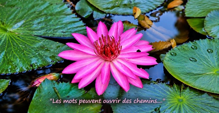 Ecoute&Conseil en ligne